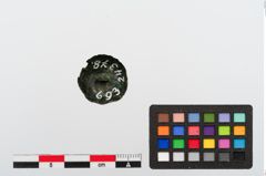 Foto von Bronzeknopf (NHMW-PRAE-024378)